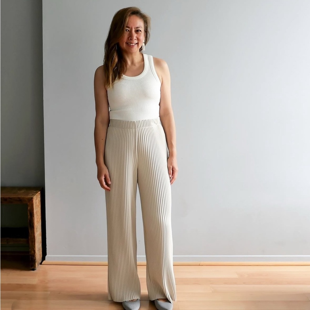Aritzia Skilled Pleated Pants, in Matte Pearl, size Small